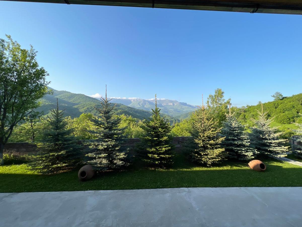 Balkonchik Guesthouse 迪利然 外观 照片